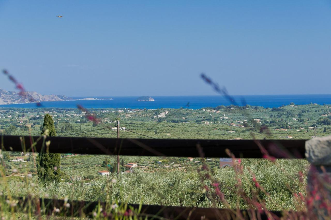 Vila Amorosa